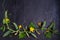 Cucumbers - vegetables on black background. Summer farm vegetables. Food background, layout, room for text.