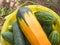 Cucumbers and yellow cabbage in a yellow plastic bucket on the garden plot. Harvesting by amateur gardeners.