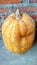 Cucurbita is a genus of herbaceous vines in the pumpkin family