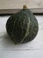 Cucurbita maxima Mini Green Hubbard 06