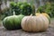 Cucurbita moschata pumpkins, group of tasty edible squash in the grass