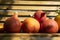 Cucurbita pepo and cucurbita maxima on wooden bench, ripened vegetables, autumn harvest