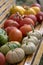 Cucurbita pepo, cucurbita moschata and cucurbita maxima on wooden bench, ripened vegetables, autumn harvest