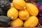 Cucurbita pepo - organic squash pumpkin at farmers market