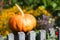 Cucurbita, Squash, Pumpkin, or Gourd decoration in autumn