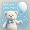 Cuddly Bear with Balloon Welcoming Baby Boy