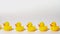 Cuenca, Ecuador - 2019-09-29- stop motion animation - yellow rubber ducks march by as green one passes and steps to