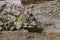 Cuenca, Ecuador - January 3, 2019 - Largest animated nativity scene in South America - woman bakes bread.