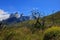 Cuernos Paine Grande, Torres Del Paine National Park, Patagonia, Chile