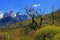 Cuernos Paine Grande, Torres Del Paine National Park, Patagonia, Chile