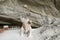 Cueva del Milodon Natural Monument Giant Sloth