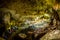 Cueva Ventana natural cave in Puerto Rico