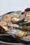 Cuisine of the Azores. The mollusks of Lapas, Limpets are popular as a snack in the Azores.