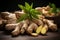 Culinary graphics Ginger root, a healthy and spicy culinary component