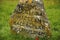 Culloden battle field memorial monument