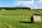 CULLODEN, INVERNESS/SCOTLAND - AUGUST 28 : Farm at Culloden nea