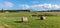 CULLODEN, INVERNESS/SCOTLAND - AUGUST 28 : Farm at Culloden nea