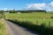 CULLODEN, INVERNESS/SCOTLAND - AUGUST 28 : Farm at Culloden nea