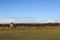 Culloden Moor Memorial Cairn