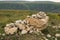 Cult stones is a megalithic site consisting of mounds, dolmens, mounds and single menhirs in Karachay-Cherkessia, Russian Federati