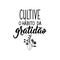 Cultivate the habit of gratitude in Portuguese. Lettering. Ink illustration. Modern brush calligraphy