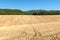 Cultivated cornfields against the hills of the mountains in Fran