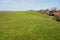 Cultivated Dutch dike landscape along the Wadden Sea in the north of Holland