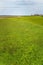 Cultivated Dutch dike landscape along the Wadden Sea in the north of Holland