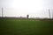 Cultivated field on a cloudy day with a tree framed by an over head electricity cable in the distance