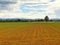 Cultivated field in plain before the hills