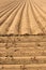 Cultivated field, ploughed rows in pattern
