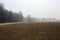 Cultivated field with a road and a forest in the distance on a foggy day in the italian countryside