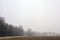 Cultivated field with a road and a forest in the distance on a foggy day in the italian countryside