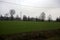 Cultivated field with trees in the distance framed by wooden pylons and over head cables on a cloudy day