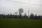 Cultivated field with trees in the distance framed by wooden pylons and over head cables on a cloudy day