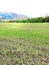 The cultivated field on which the wheat was planted,mountainous areas of Italy and farml,and where a young wheat has sprouted