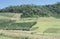 Cultivated fields and deforestation in southern Brazil.