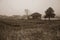 Cultivated fields and farmhouse in a foggy day