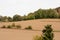 Cultivated fields in the mountains. Freshly sown wheat in the field.