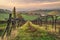 Cultivated fields and vineyards in the southwest of Bologna