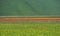 Cultivated and flowery fields of Castelluccio di Norcia