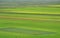 Cultivated and flowery fields of Castelluccio di Norcia