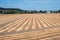 Cultivated golden land at the Wallon countryside around , Belgium