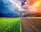 Cultivated green meadow and heavy sky clouds.