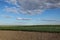 Cultivated land and soybean field in late spring or early summer