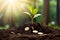 CULTIVATING FINANCIAL SUCCESS WITH NATURE\\\'S ENERGY
