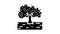 cultivation olive tree glyph icon animation