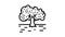 cultivation olive tree line icon animation