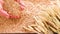 Cultivation and processing of wheat. Woman touches wheat grains and ears with her hands. Hand full of wheat seeds, wheat