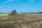 Cultivation of the soil after harvesting rapeseed by a disc drive, which interrupts the remains of plants